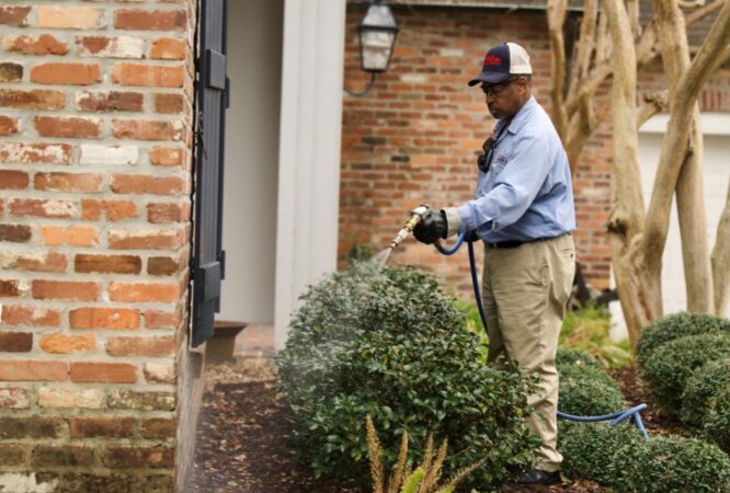 Pest Control