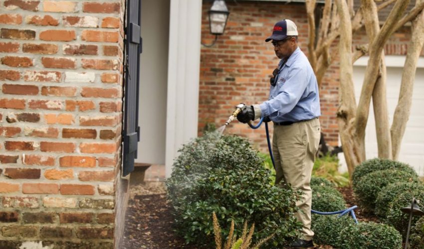 Pest Control